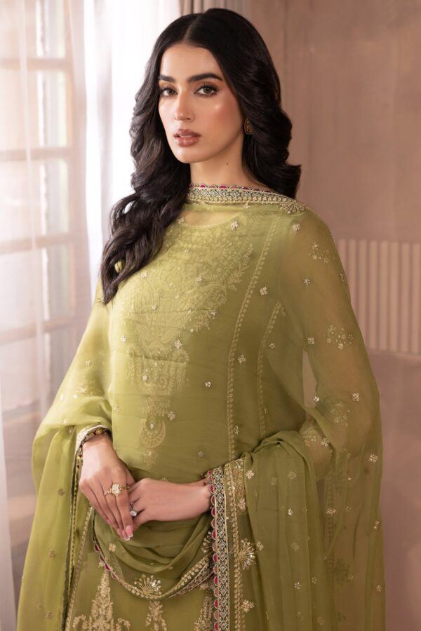 Jazmin Chiffon Collection 2025